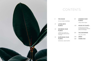 House of Plants: Living with Succulents, Air Plants and Cacti