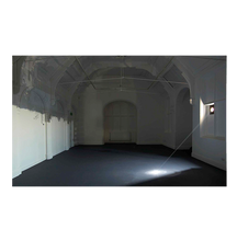 Zoe Leonard: Available Light