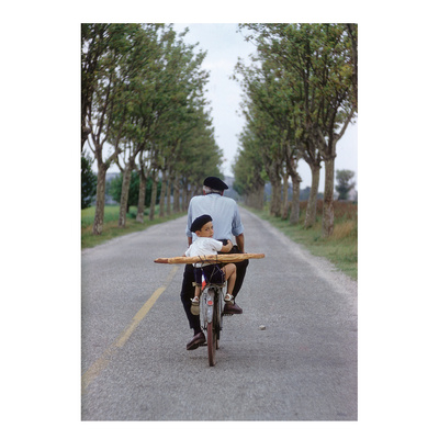 Elliott Erwitt's Kolor