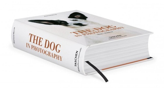 The Dog in Photography 1839-Today