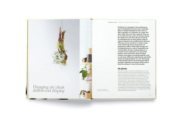 How to plant a room and grow a happy home