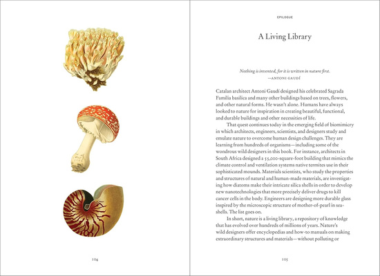 Wild Design : The Architecture of Nature