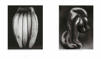 Weston : Edward, Brett, Cole, Cara. The Weston Photographers