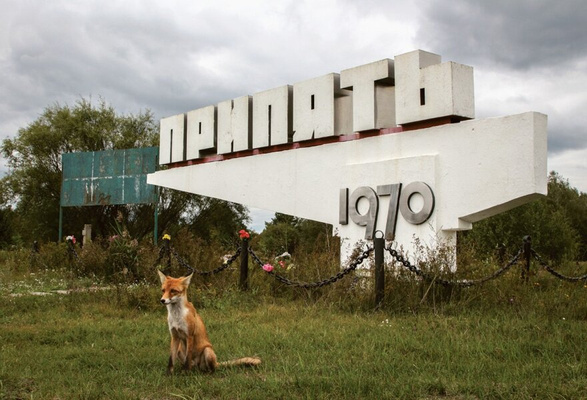 Chernobyl: A Stalkers' Guide