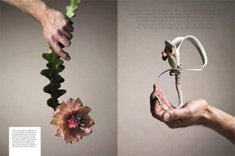 Floral Contemporary: The Renaissance of Flower Design