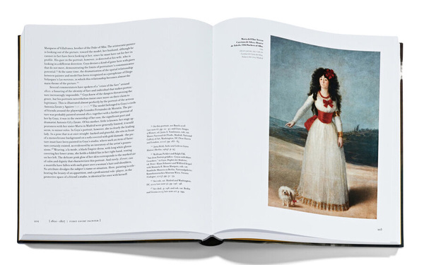 Francisco de Goya : Exhibition guide