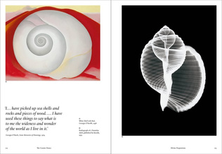 The Cosmic Dance : Finding patterns and pathways in a chaotic universe