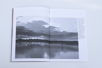 Abandoned Daughters of the Tiger