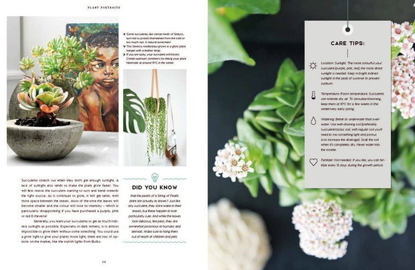 Urban Jungle: Living and Styling with Plants