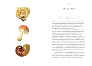 Wild Design : The Architecture of Nature