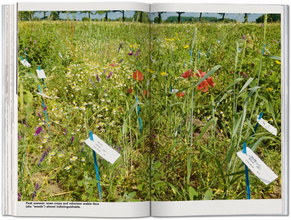 Koolhaas. Countryside, A Report