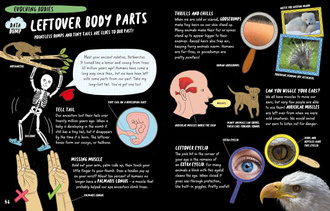 The Brainiac’s Book of the Body and Brain