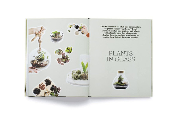 How to plant a room and grow a happy home