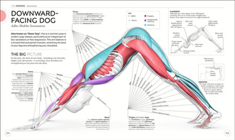 Science of Yoga: Understand the Anatomy and Physio