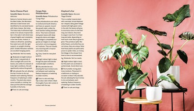 House Planted : Choosing, Growing, and Styling the Perfect Plants for Your Space