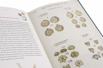 A Shakespeare Motley