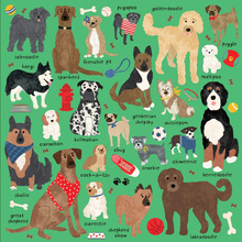 Puzzle Doodle Dog And Other Mixed Breeds