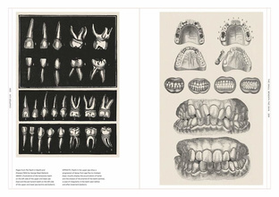 The Smile Stealers. Art of Dentistry