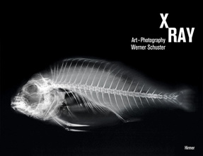 X-Ray: Werner Schuster