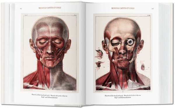 Jean Marc Bourgery. Atlas of Human Anatomy and Surgery