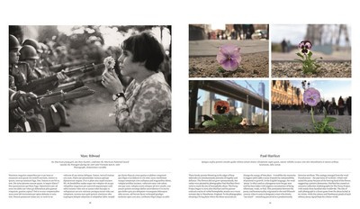 Flower: Exploring the World in Bloom