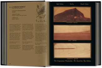 Romeyn B. Hough. The Woodbook. The Complete Plates