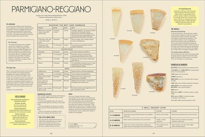 Let's Eat Italy! : Everything You Want to Know About Your Favorite Cuisine