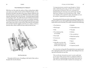 Cabin : How to Build a Retreat in the Wilderness and Learn to Live With Nature