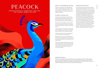 Animal Power : 100 Animals to Energize Your Life and Awaken Your Soul