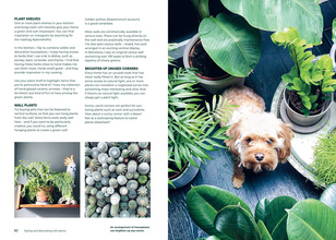 Green Home : The Joy of Living with Plants