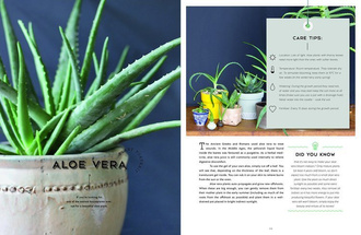 Urban Jungle: Living and Styling with Plants