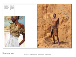 Africa : The Fashion Continent