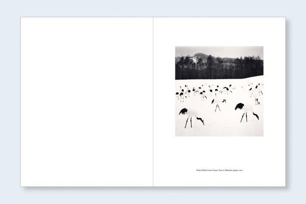 Japan | A Love Story