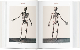 Jean Marc Bourgery. Atlas of Human Anatomy and Surgery