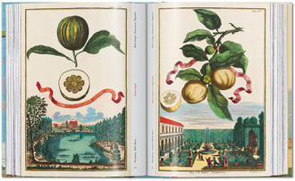 J. C. Volkamer. The Book of Citrus Fruits. 45th Ed.