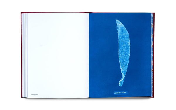 Cyanotype Imperfections