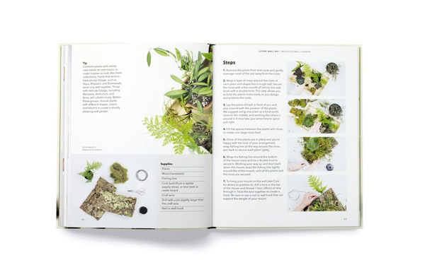 How to plant a room and grow a happy home