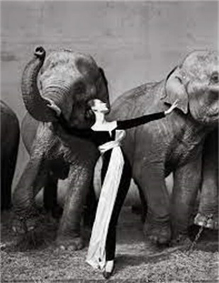 Richard Avedon: Relationships