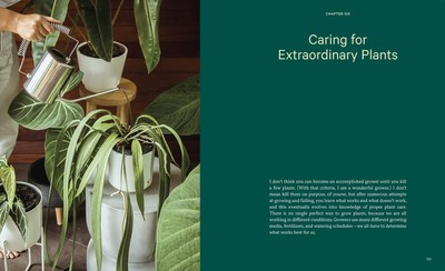 Welcome to the Jungle : Rare Tropical Houseplants to Collect, Grow, and Love
