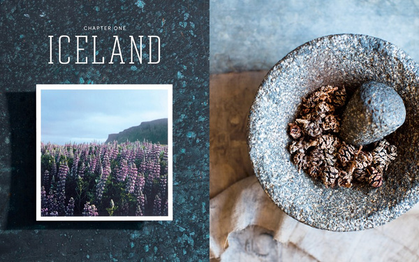 Journeys in Natural Dyeing