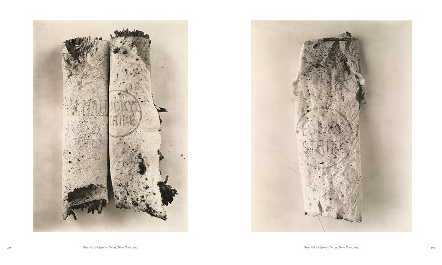 アート・デザイン・音楽 Irving Penn | Centennial Irving penn - centennial : Morris, Hambourg: Amazon.pl: Książki