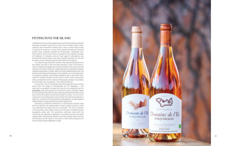 Adventures in Rose Wine in Provence