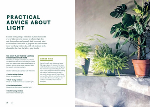 Green Home : The Joy of Living with Plants