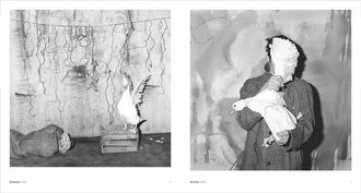 Asylum of the Birds