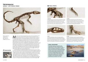 Evolution: the Whole Story