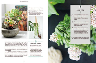 Urban Jungle: Living and Styling with Plants