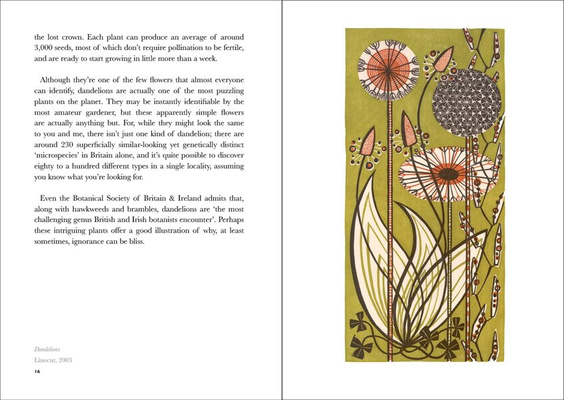 The Book of Wild Flowers : Reflections on Favourite Plants