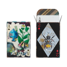 Maison de Jeu Playing Cards