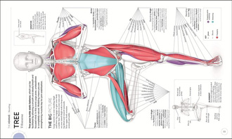 Science of Yoga: Understand the Anatomy and Physio
