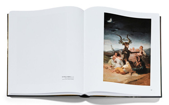 Francisco de Goya : Exhibition guide